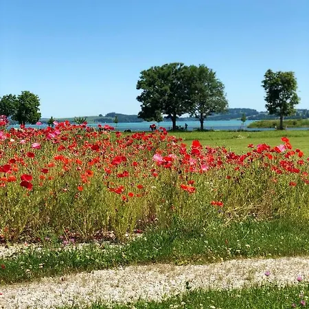 Alpengluck De Luxe Am Forggensee * Schwangau