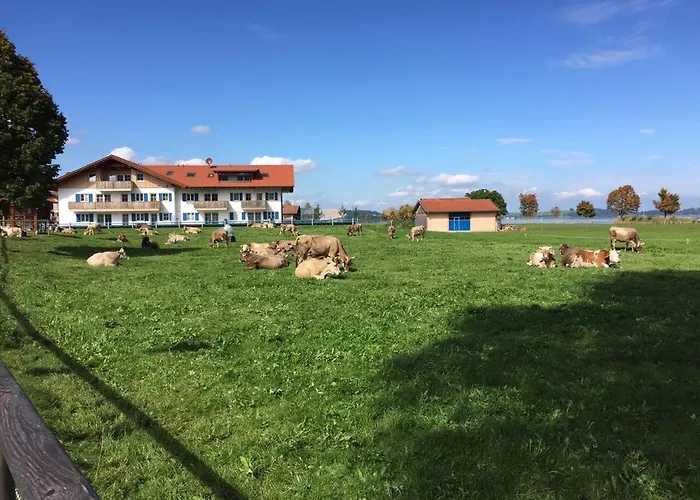 Appartement Alpenglück De Luxe Am Forggensee Schwangau
